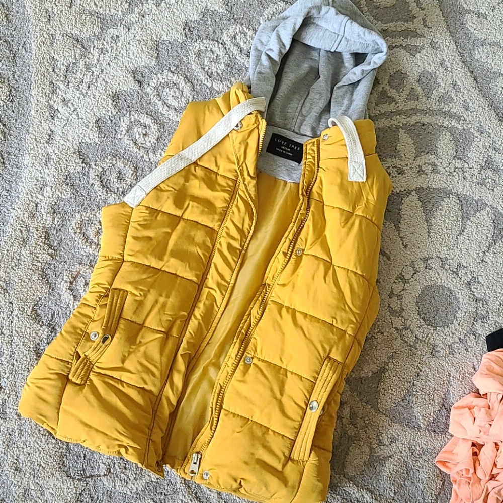 Vest